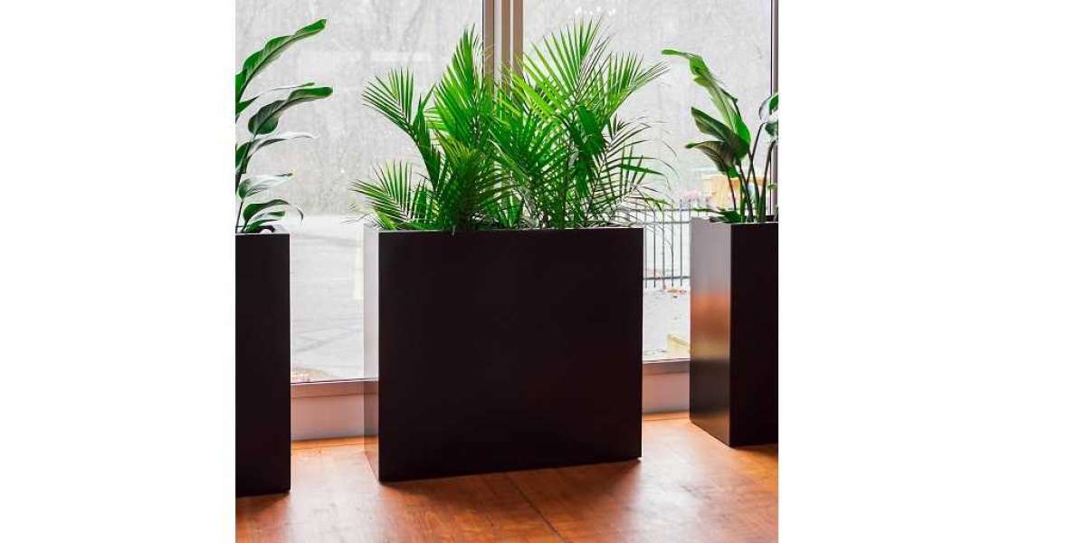 The Art of Biophilic Design: Integrating Modular Planter Boxes into Your Restaurant Layout