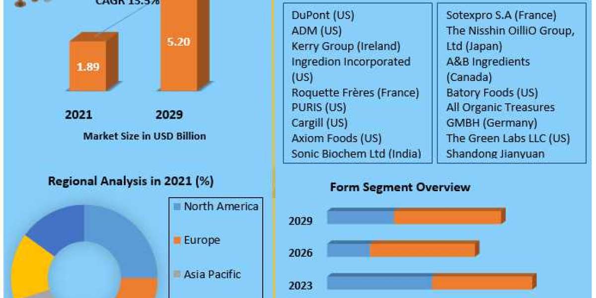 Meat Substitute Market Trends, Active Key Players and Growth Projection Up to 2029