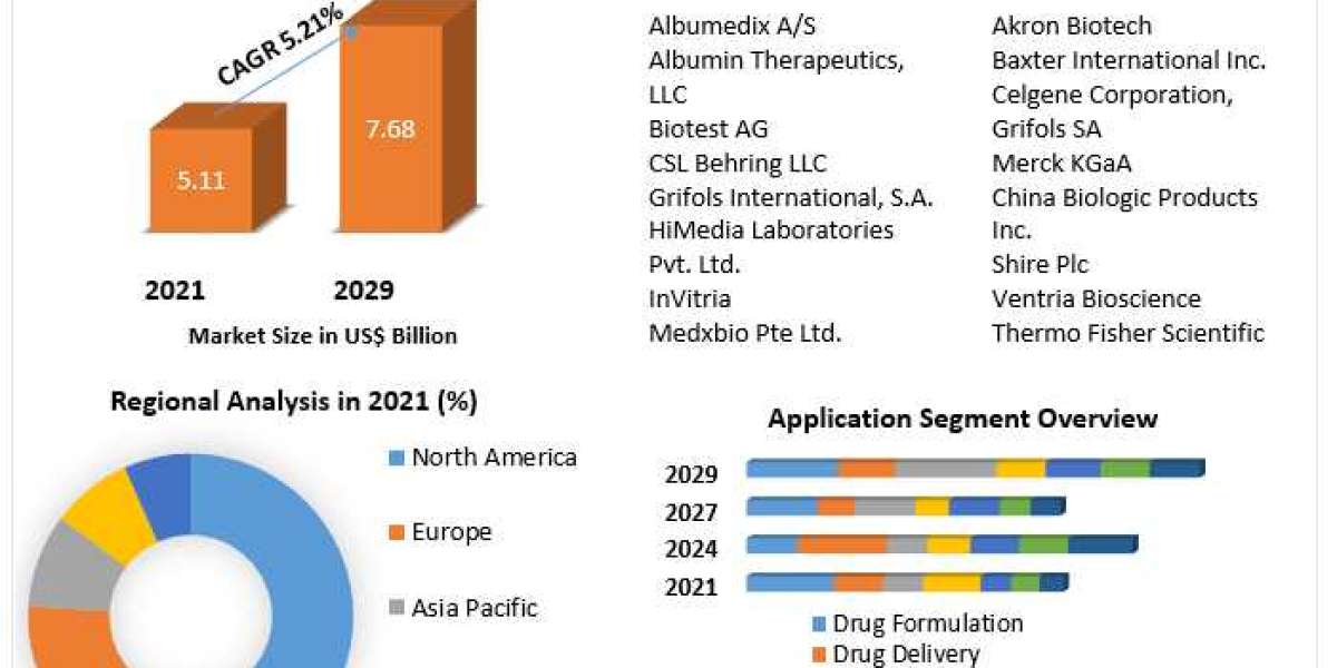 Cosmetic Surgery Market Size, Share, Growth, Trends And Industry Strategies