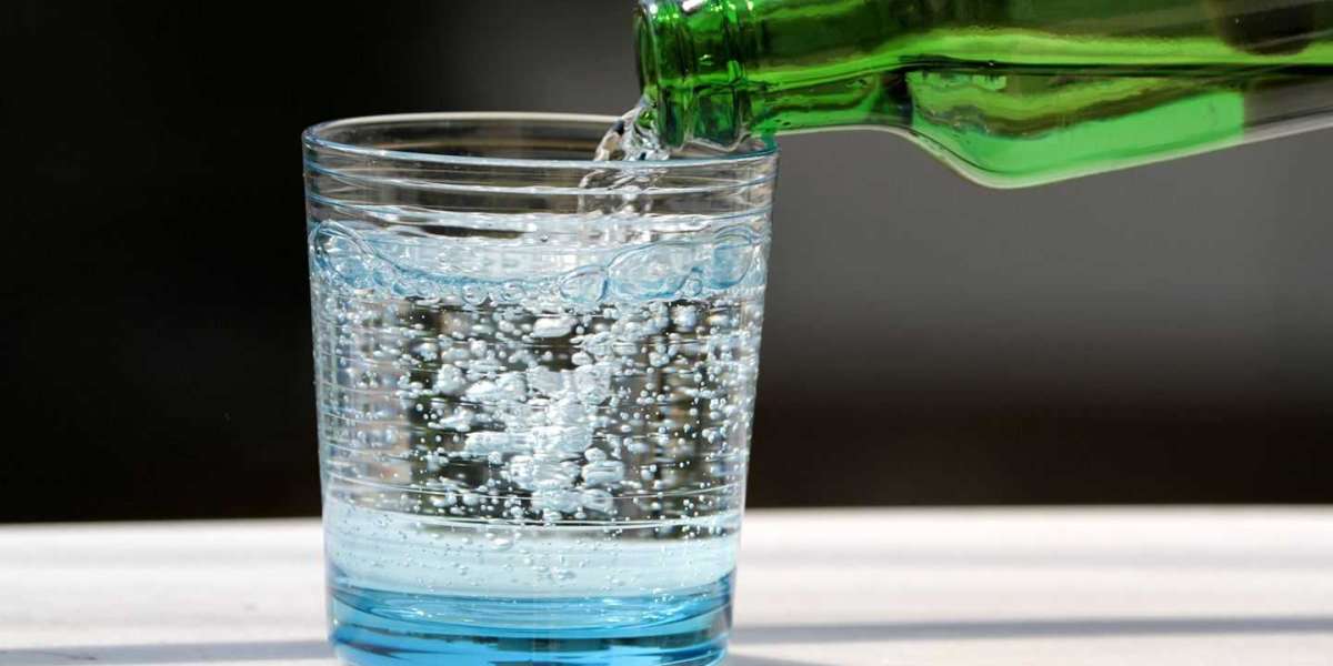 Unflavored Sparkling Water Market Mergers and Acquisitions Shaping the Competitive Landscape by 2030