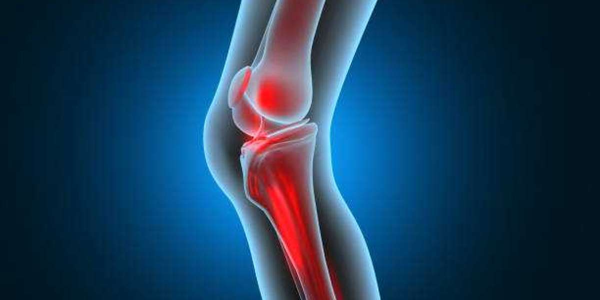 Bone and Joint Health ingredients Market Report by Size, Share, Trends, Growth, Recent Demand, Industry Analysis, Insigh