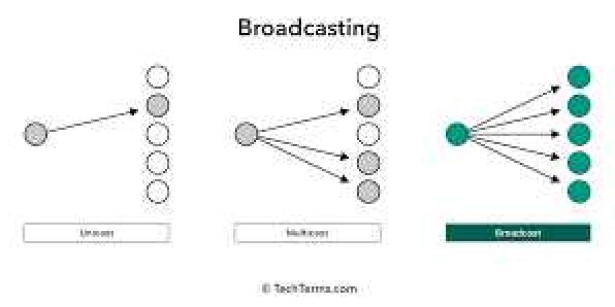 Broadcasting and Politics: The Role of Media in Shaping Public Opinion