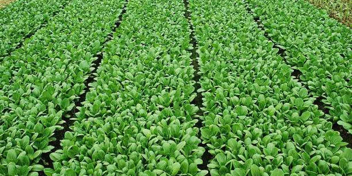 Agricultural Surfactants Market Outlook, Size, Revenue Analysis, PEST, Region & Country Forecast Report by Market Re