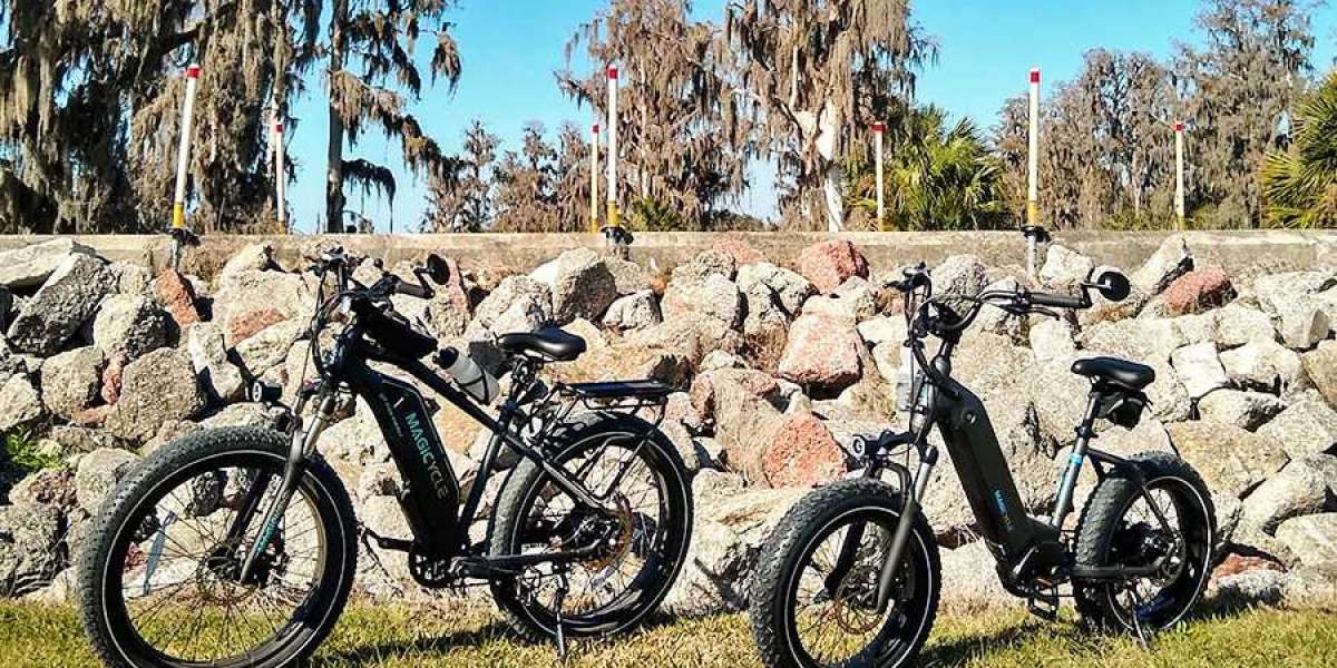 Key Benefits Of Riding Fat Tire Step Thru Ebike For Touring