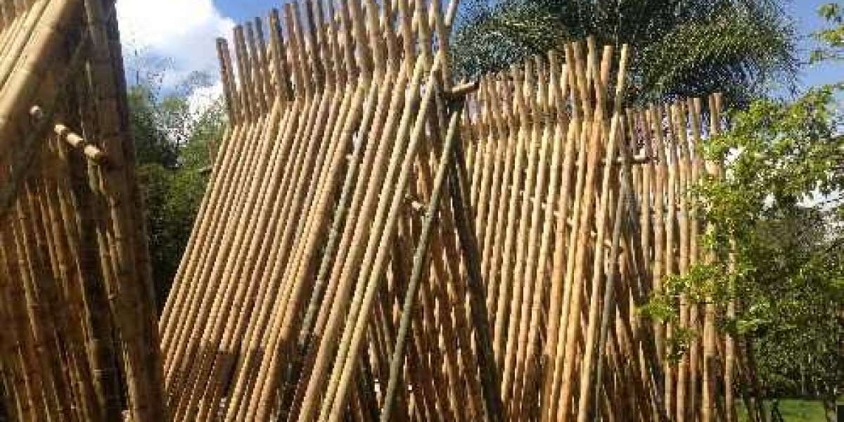 How to Dry Bamboo Fast: Tips and Tricks