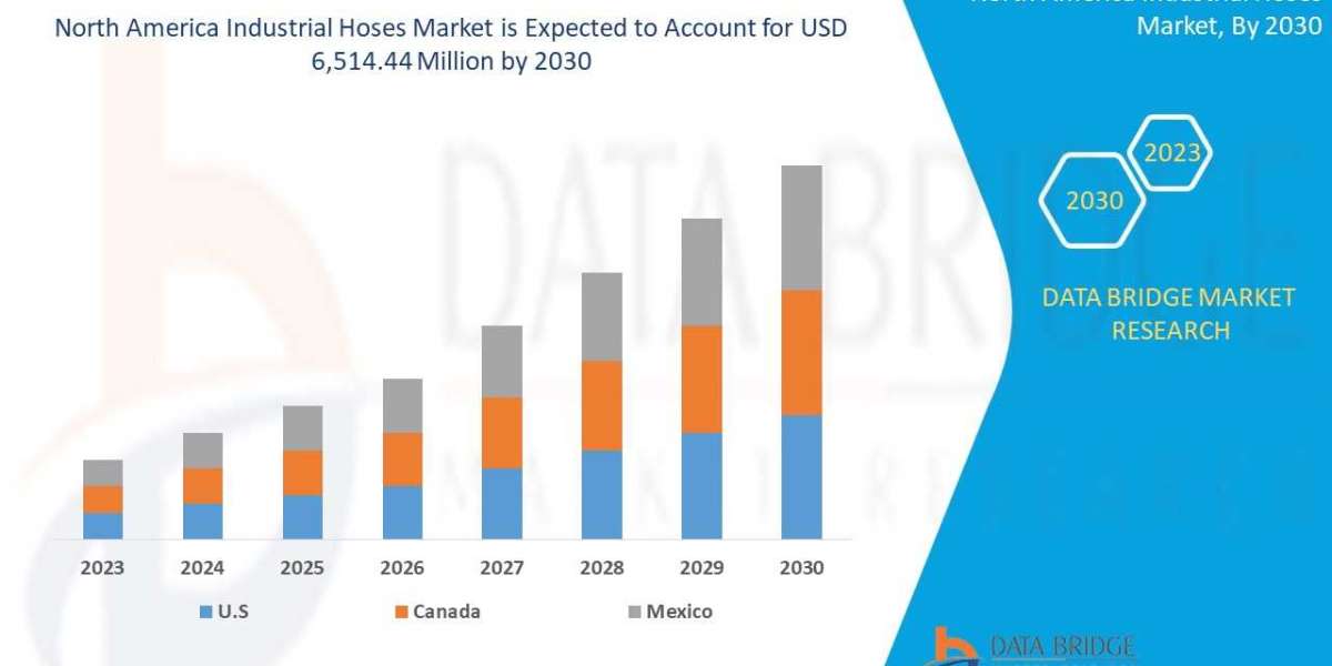 North America Industrial Hose Market Opportunities and Strategies To 2029