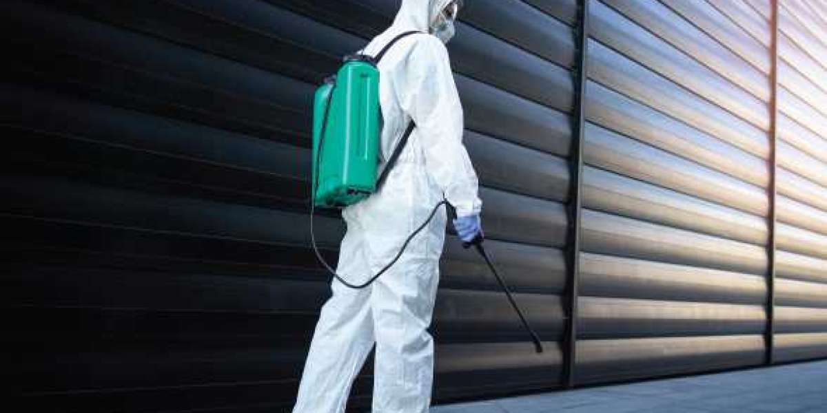 Expert Advice on Choosing the Best Pest Control Company