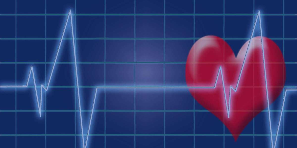 Exploring the Benefits of Echocardiography in Melbourne