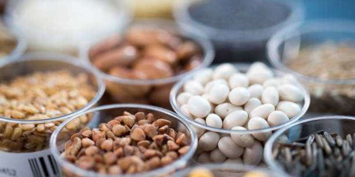 Hybrid Seeds Market Overview | Current and Future Demand, Analysis, Growth and Forecast By 2030