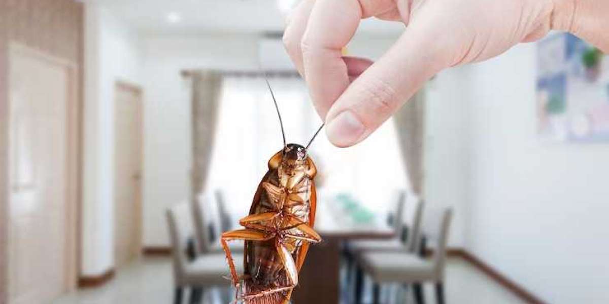 10 Different Ways to Starve Out the Cockroaches