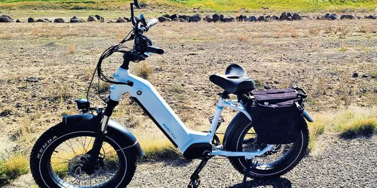 Are Fat Tire Electric Bikes Suitable For City Riding?