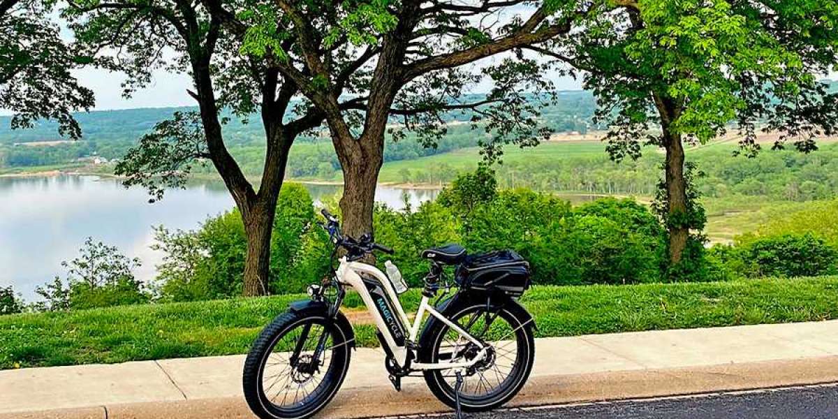 Benefits Of Owning A Fat Tire Electric Bike