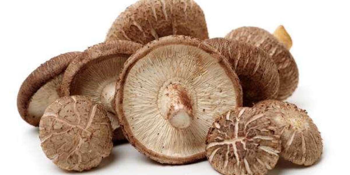 Shiitake Mushroom Market Trends Regional Analysis and Forecast to 2028 by Market Research Future (MRFR)