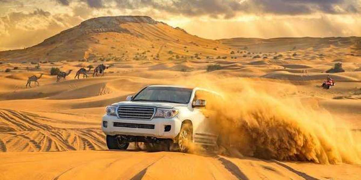 Experience the Best Desert Safari in Dubai