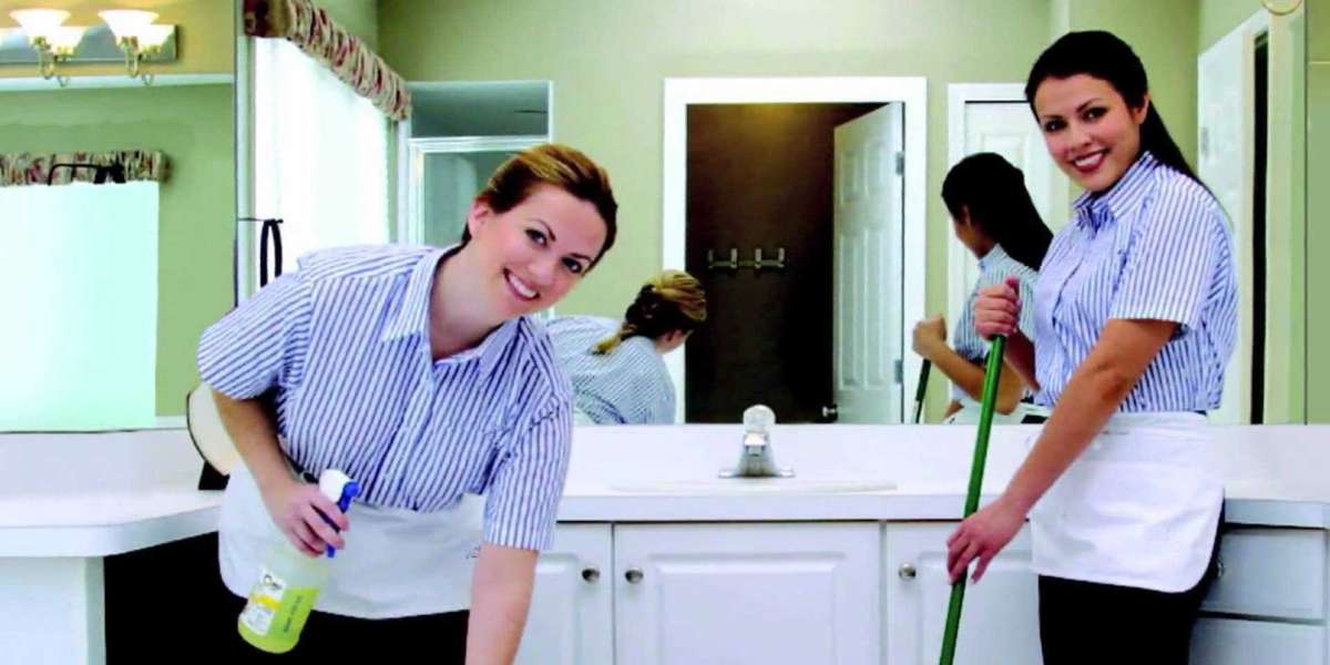 Building a Successful Luxury Cleaning Business: Key Strategies for Maid Services