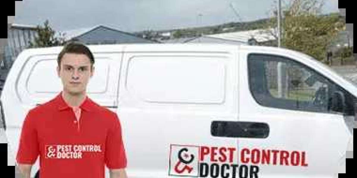 How to Find the Best Pest Control Company for Your Needs