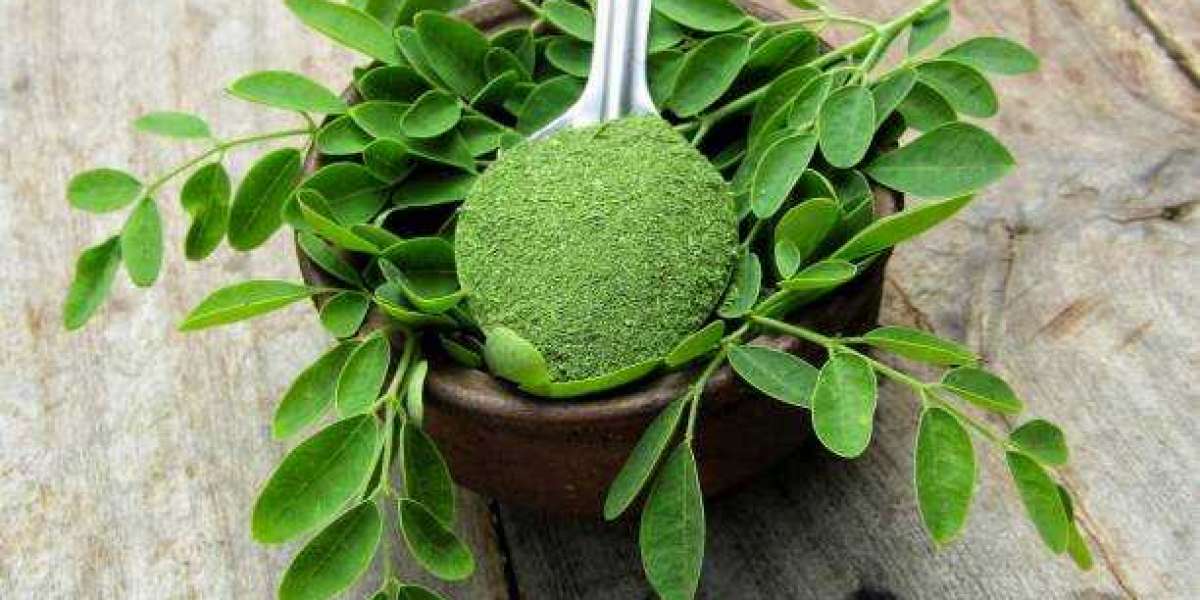 Moringa Products Market Trends Competitive Landscape, Industry analysis, Segmentation and Trends