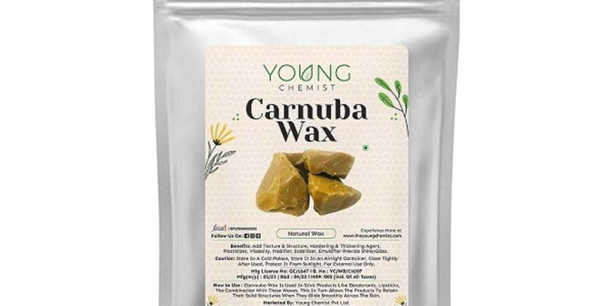 Understanding the Benefits of Carnuba Wax
