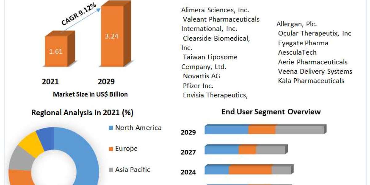 Ocular Drug Delivery Technology Market Trends, Size, Top Leaders, Future Scope and Outlook 2029