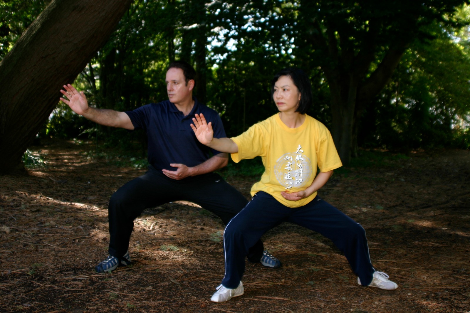 Tai Chi Online Australia: Embrace the Serenity and Wellness from Anywhere – Tai Chi Academy