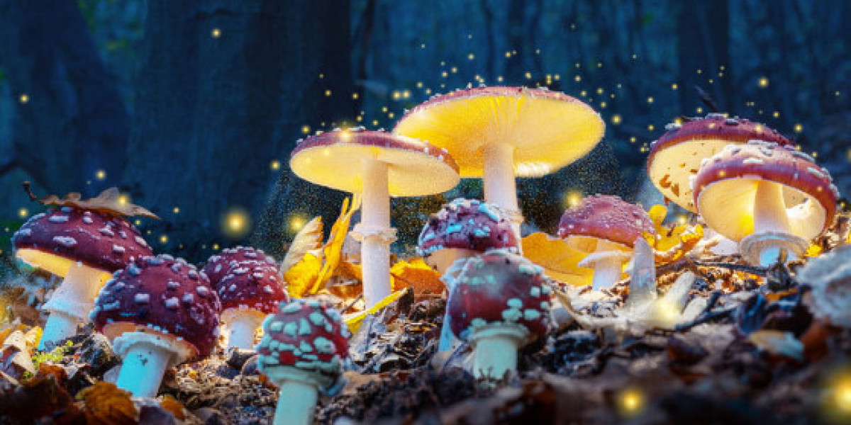 Shroom Delivery: The Convenience and Risks of Having Magic Mushrooms Delivered to Your Doorstep