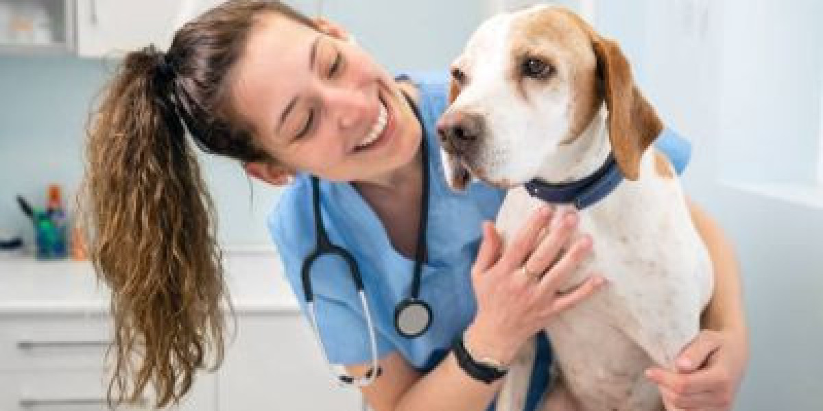 Veterinary Services Market Future Business Opportunities 2023-2030
