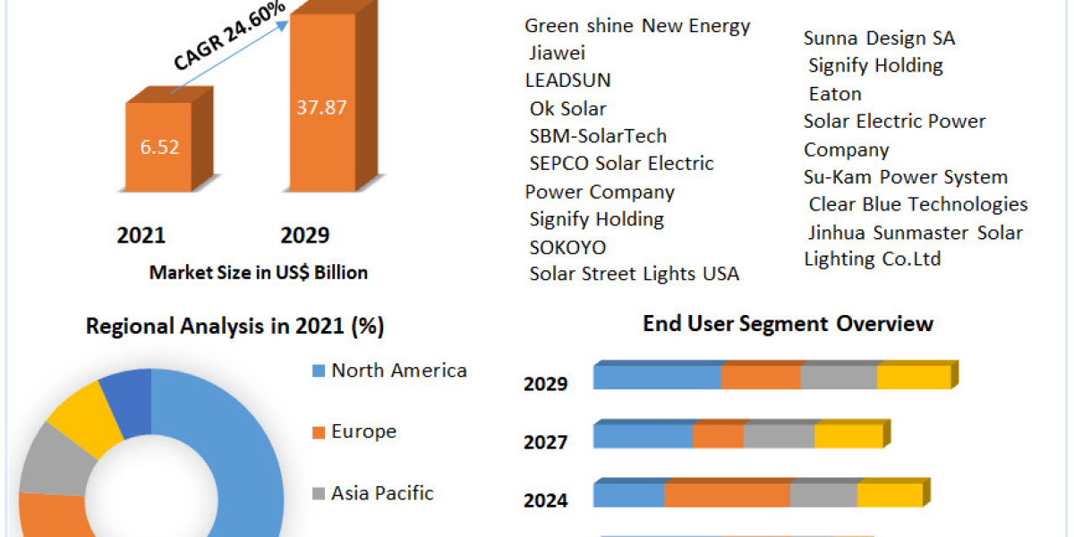 Outdoor Solar LED Market: Key Players and Competitive Landscape Forecast (2022-2029)