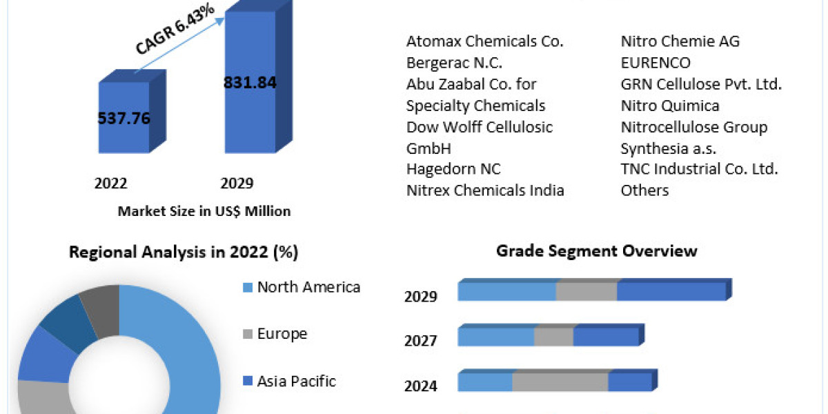 Market Segmentation and Analysis of the Nitrocellulose Market: Forecast 2022-2029