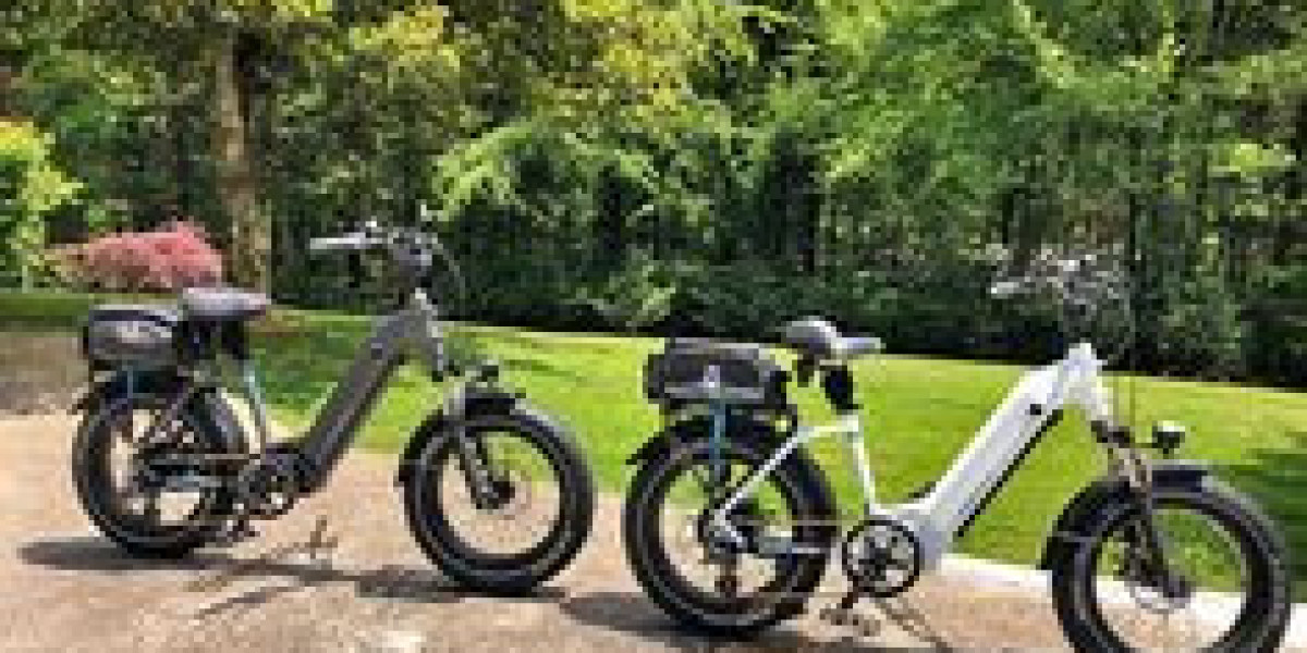 Do I Need an Electric Bike with Throttle?