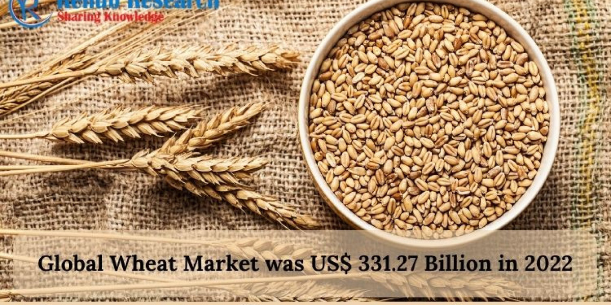 Global wheat market shall reach US$ 502.88 Billion by 2030, Size, Share, Outlook | Renub Research