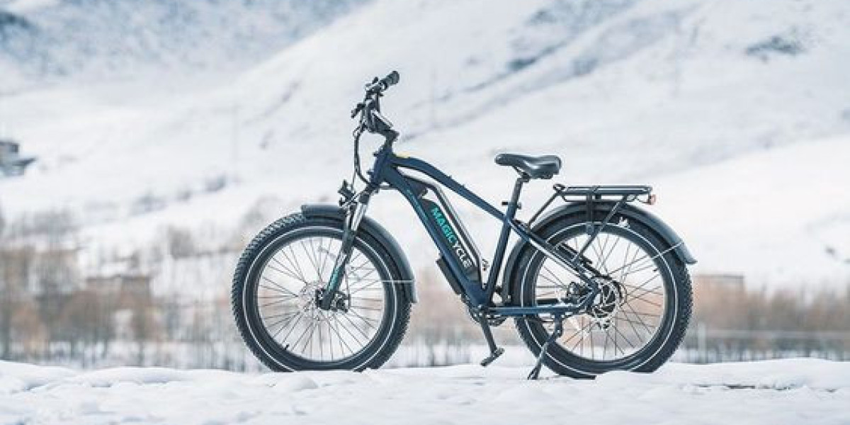 Fat Tire Electric Bikes: Exploring The Great Outdoors With The Best Companion