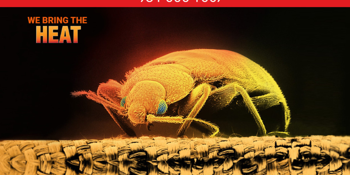 Get the professional Bed bug heat treatment in Jurupa Valley