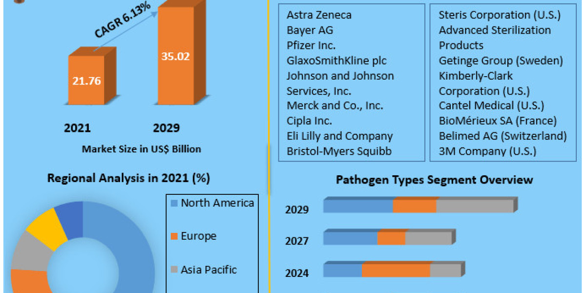 Hospital Acquired Infections Market Growth,  Business Strategies, Revenue Global Technology and Growth Rate Upto 2029