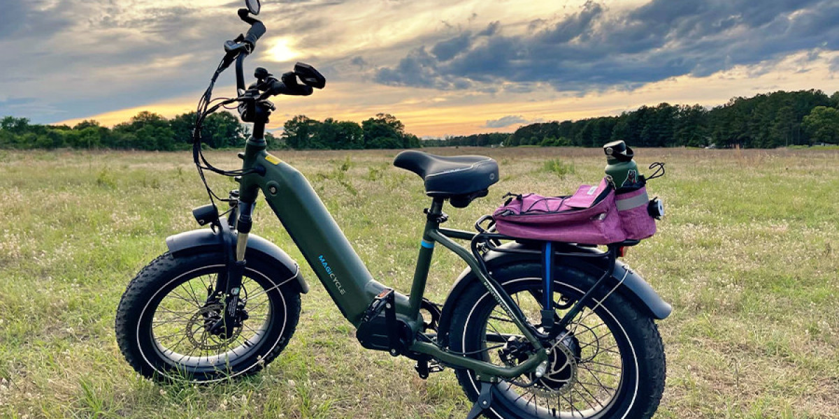 750W Electric Bike FAQs - Here Is Everything You Want to Know