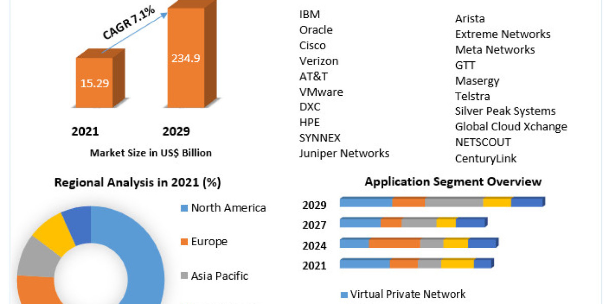 Network as a Service Market Future Growth, Competitive Analysis and Forecast 2029