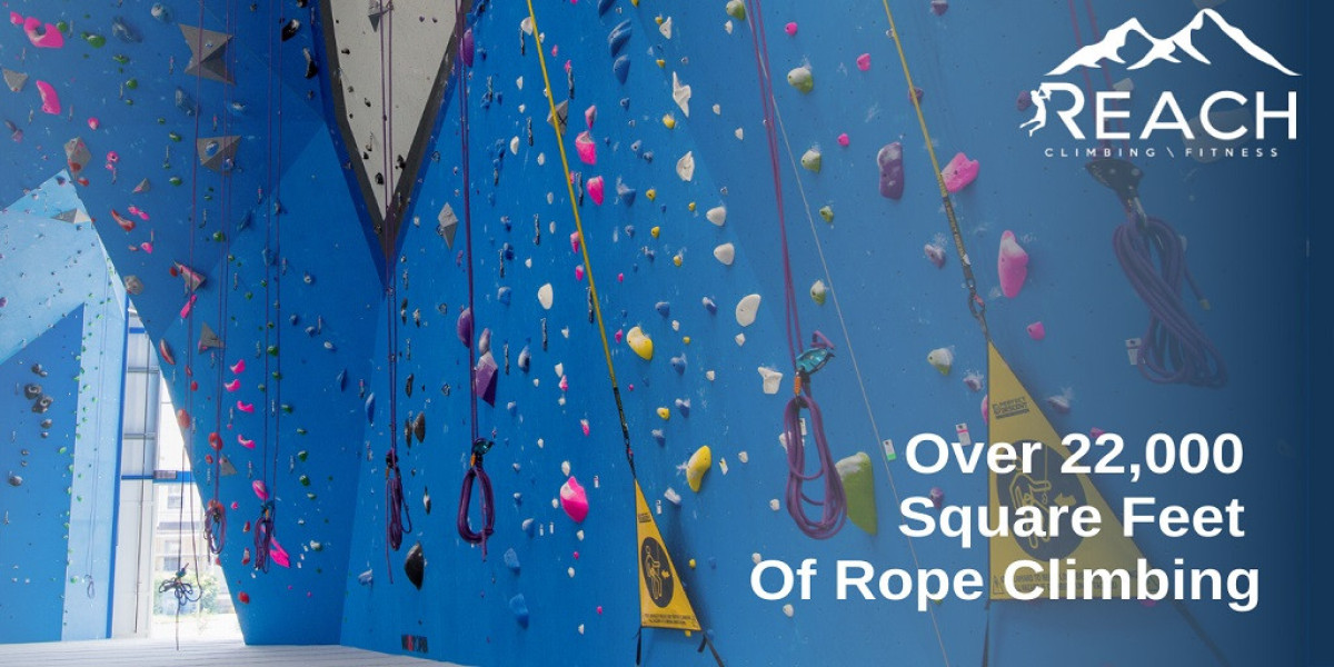 Scaling Walls, Soaring Spirits: Indoor Climbing Gyms Redefine Adult Zen