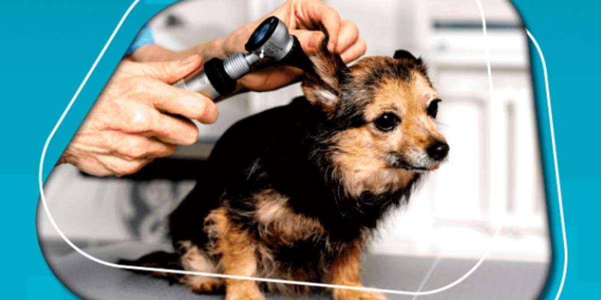 Veterinary Anesthesia Equipment Market Report Outlook, Size, Forecast to 2028