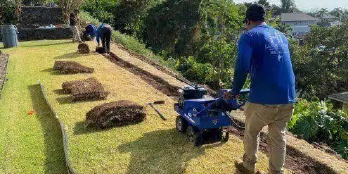 Reaping the Rewards: The Long-Term Benefits of Professional Landscaping in Hawaii