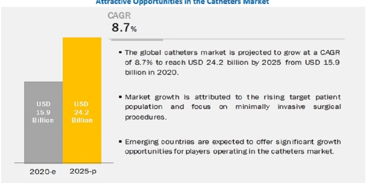 Understanding the Global Catheters Market: Trends and Developments