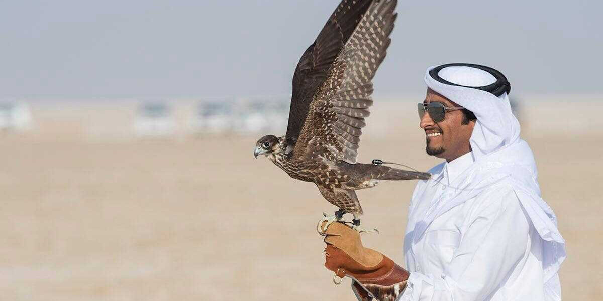 Majestic Encounters: Exploring Qatar's Falcon Tours - A Journey into Ancient Traditions