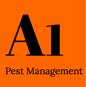 A1 Pest Management: Termite and Pest Control North Brisbane