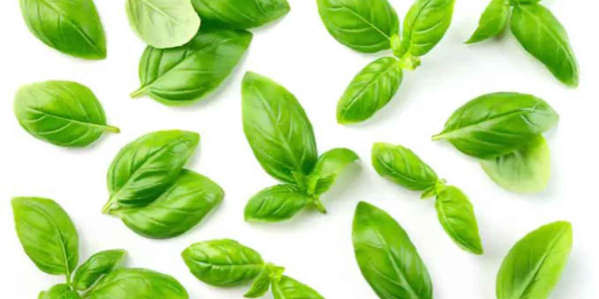Incredible benefits of basil that makes it a superfood