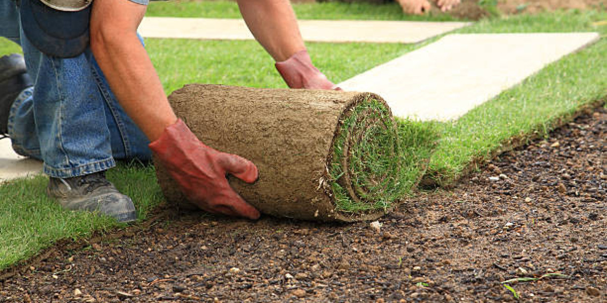 Unveiling the Expertise of Active Landscaping Sydney's Landscape Gardener and Turf Laying Services