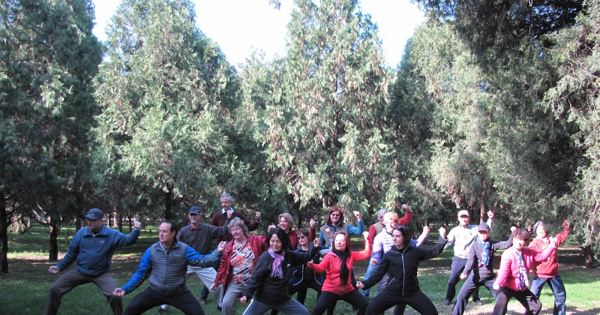 Tai Chi Academy: Tai Chi online Australia | Improve Your Health and Harmony