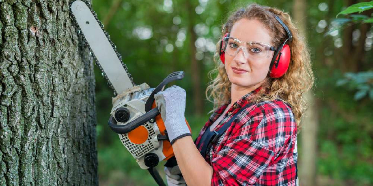 Safely Removing Hazardous Trees Removal in Sarasota