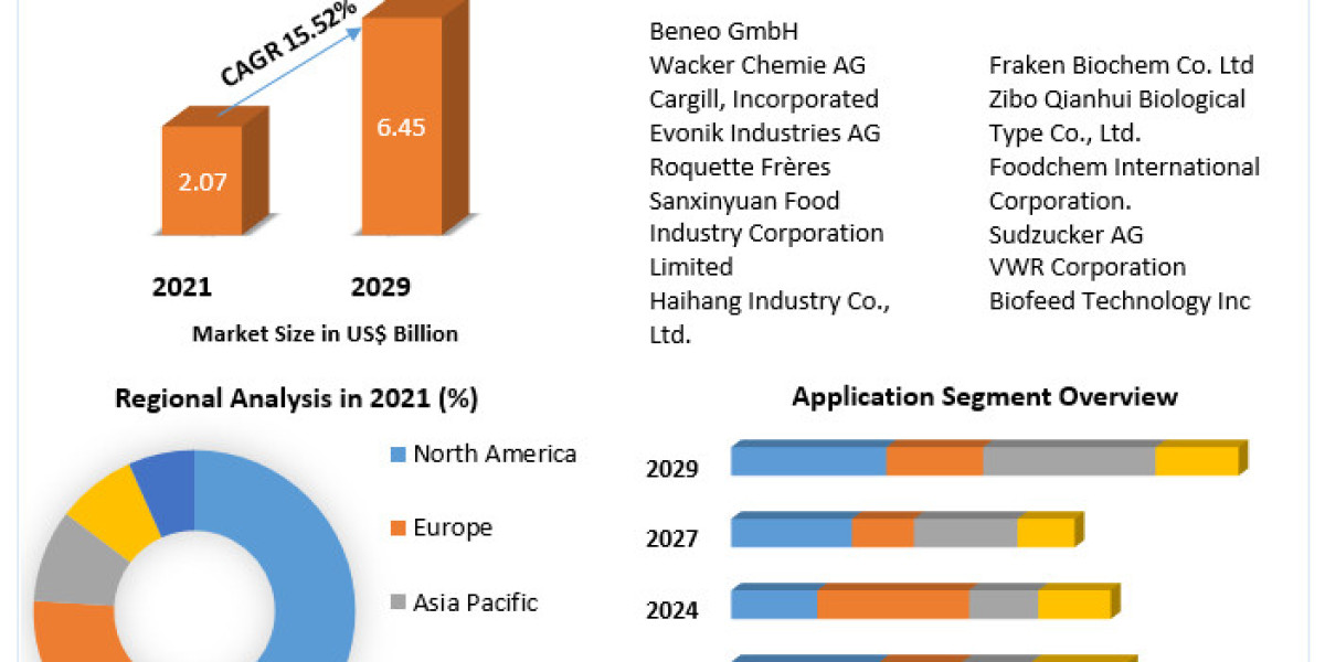 Functional Carbohydrates Market: Key Players and Competitive Landscape 2029