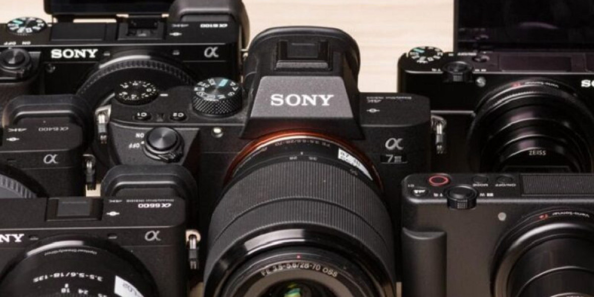 High-Quality Cameras: American Photography Enthusiasts’ Favorite