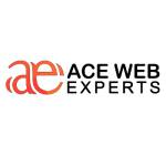 Ace Web Institute