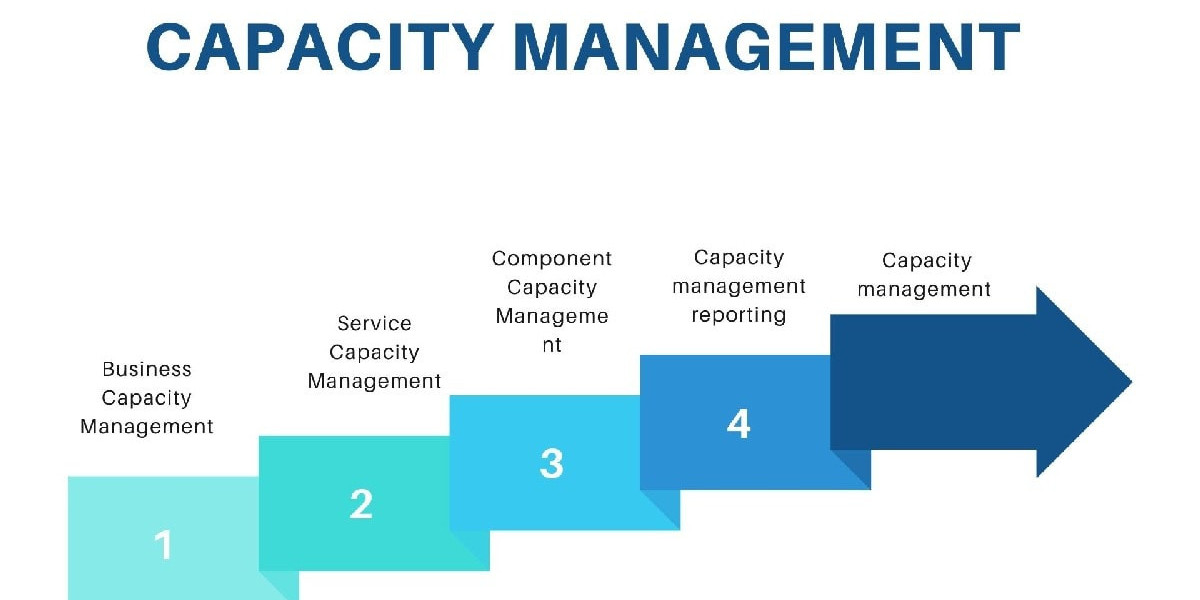 Capacity Management Market Key Manufacturer, Geographical Segmentation & Forecast to 2030