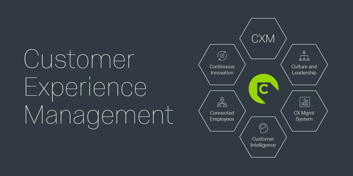 Customer Experience Management Market Competition Strategy, Key Competitors & Forecast to 2030